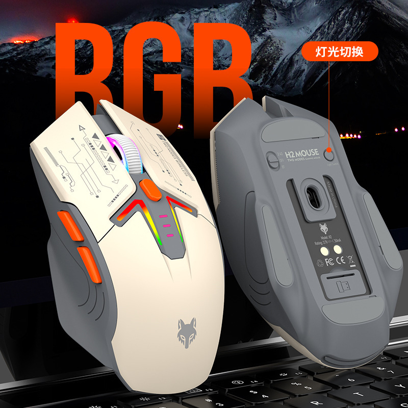 H2 oplaadbare RGB-lichtgevende - Fitness Journal Planner recensie en prijs