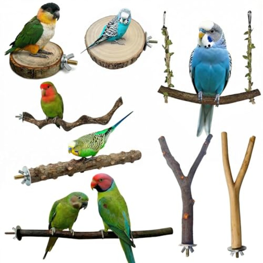 8 stuks natuurlijke houten vog - Health & Wellness Lafayette Reviews recensie en prijs